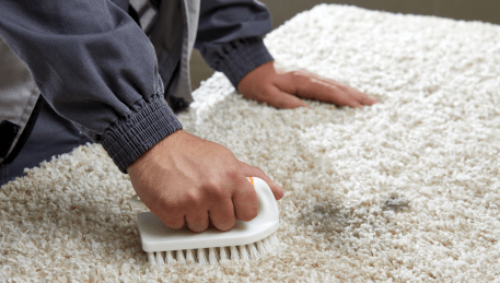 Professional Rug Cleaning Ferntree Gully